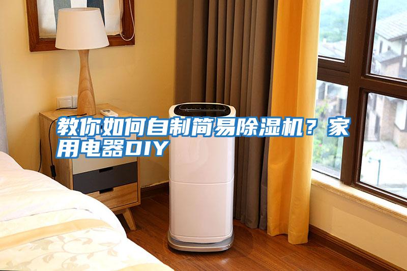 教你如何自制簡易除濕機？家用電器DIY