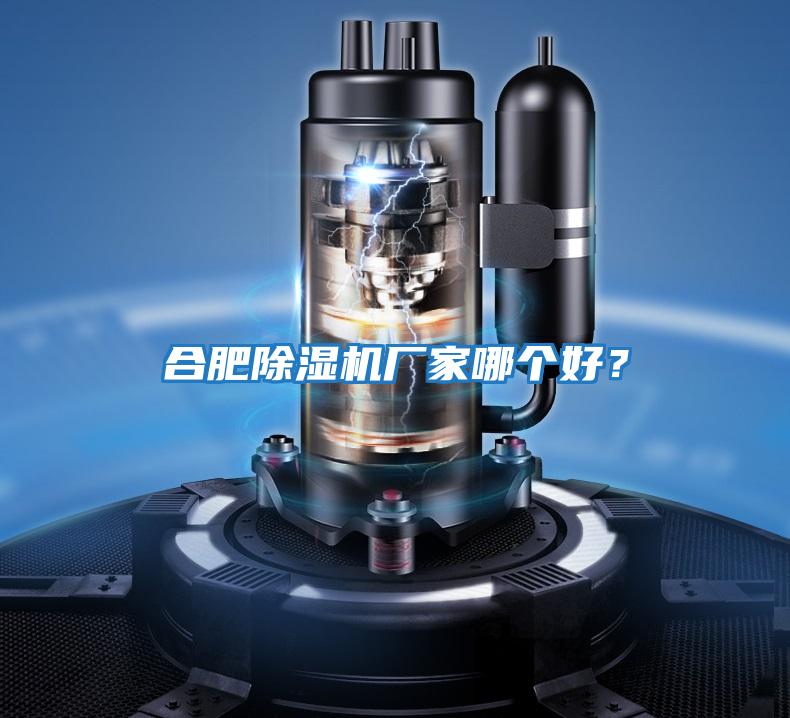 合肥除濕機(jī)廠家哪個好?