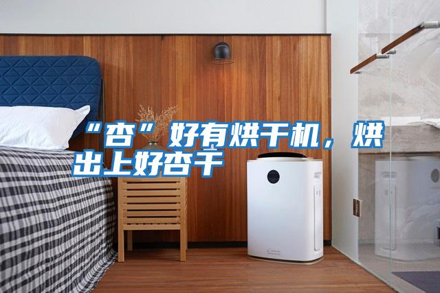 “杏”好有烘干機(jī)，烘出上好杏干