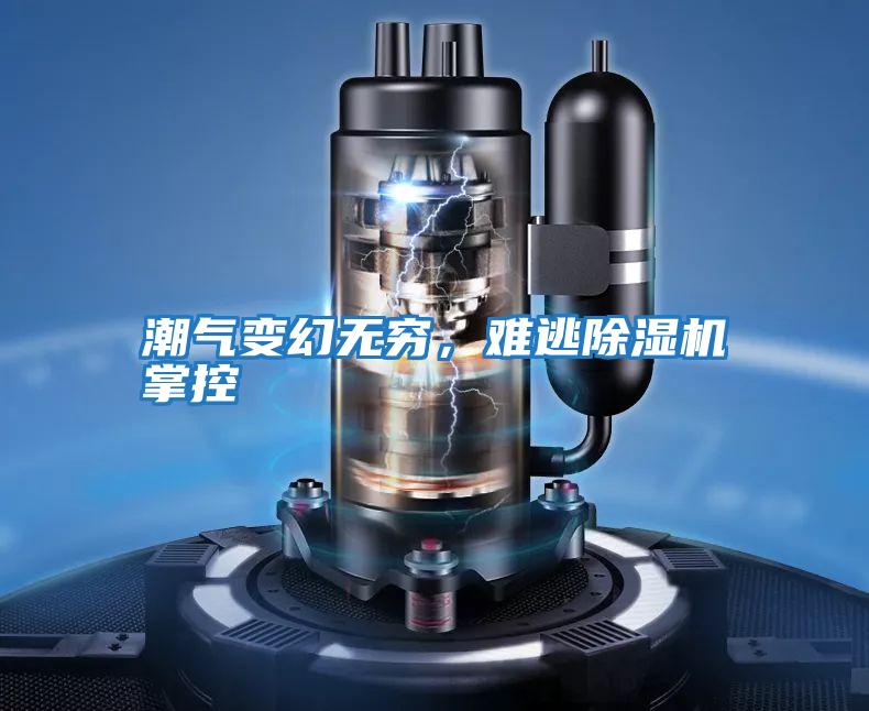 潮氣變幻無窮，難逃除濕機掌控