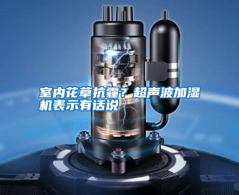 室內(nèi)花草抗霾？超聲波加濕機(jī)表示有話(huà)說(shuō)