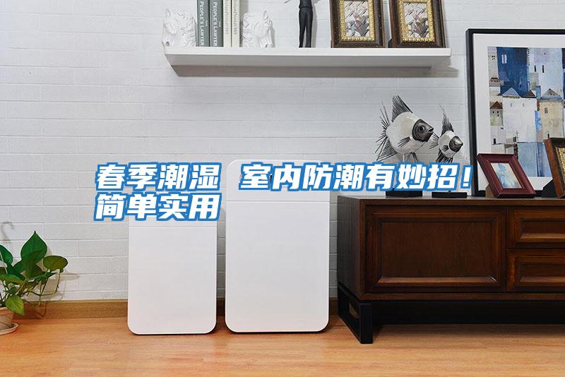 春季潮濕 室內防潮有妙招！簡單實用