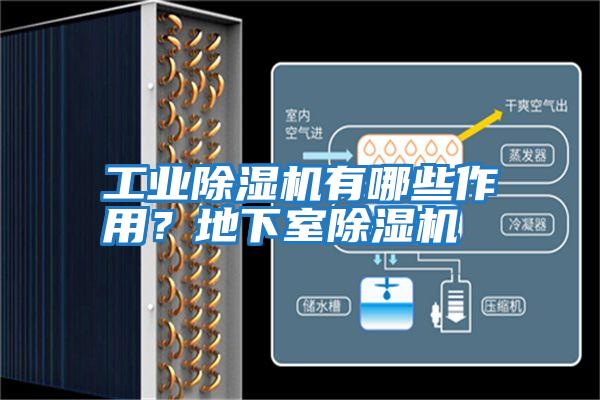 工業除濕機有哪些作用？地下室除濕機