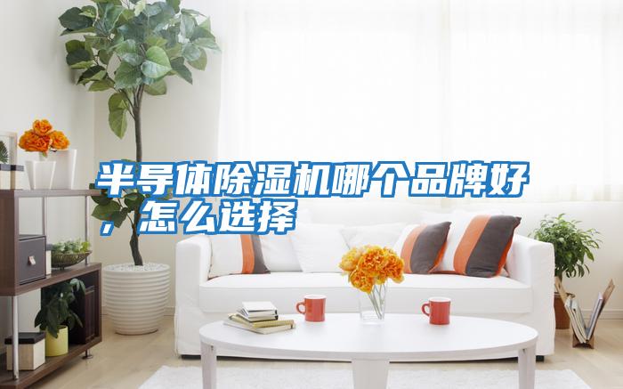 半導(dǎo)體除濕機(jī)哪個(gè)品牌好，怎么選擇