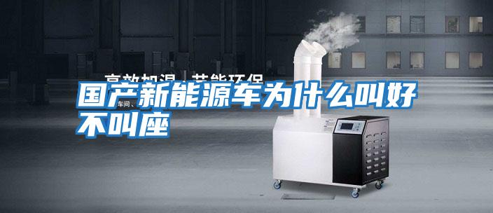 國(guó)產(chǎn)新能源車(chē)為什么叫好不叫座