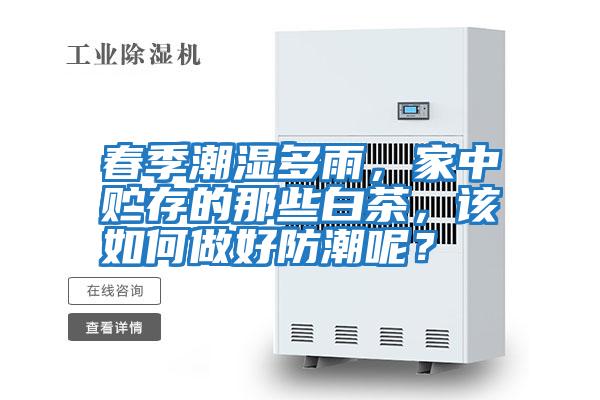 春季潮濕多雨，家中貯存的那些白茶，該如何做好防潮呢？