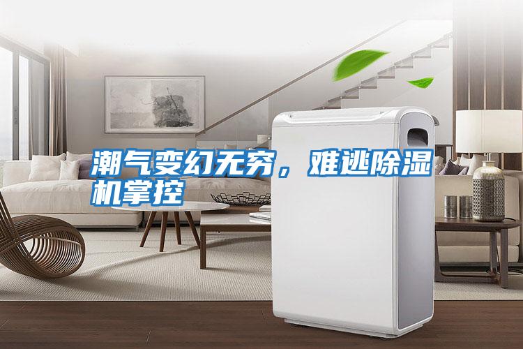 潮氣變幻無窮，難逃除濕機(jī)掌控