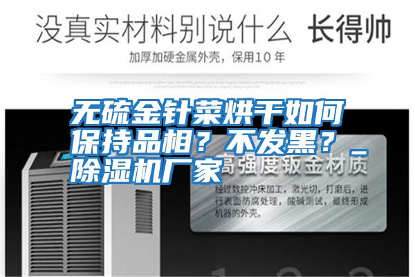 無硫金針菜烘干如何保持品相？不發(fā)黑？_除濕機(jī)廠家