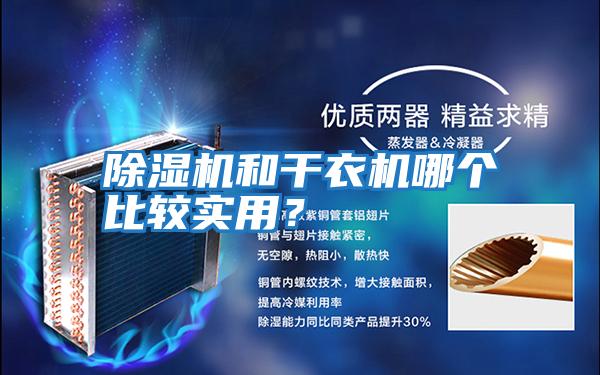 除濕機(jī)和干衣機(jī)哪個比較實用？