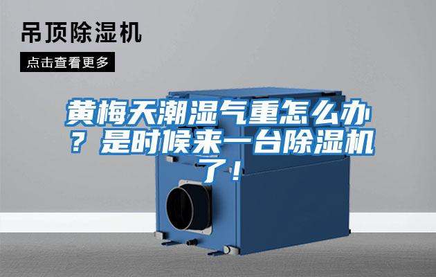 黃梅天潮濕氣重怎么辦？是時候來一臺除濕機了！