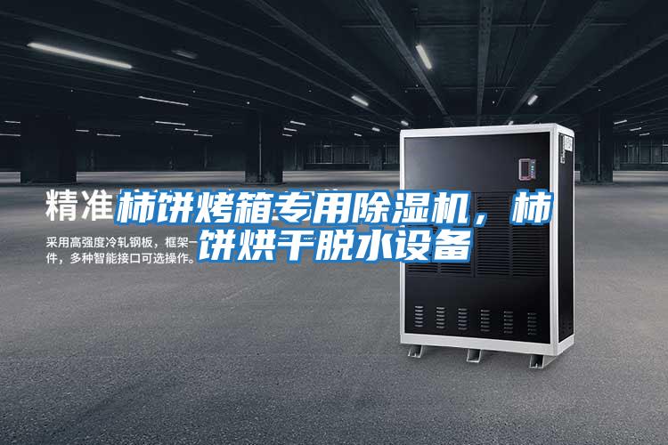 柿餅烤箱專用除濕機，柿餅烘干脫水設備