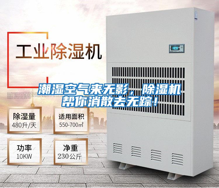 潮濕空氣來無影，除濕機幫你消散去無蹤！