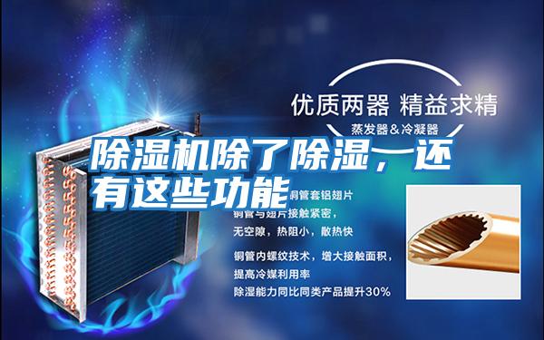 除濕機(jī)除了除濕，還有這些功能
