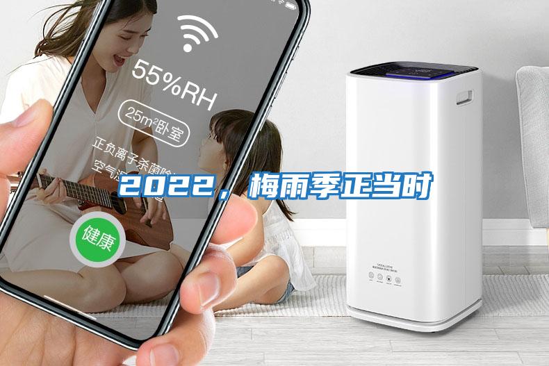 2022,梅雨季正當(dāng)時