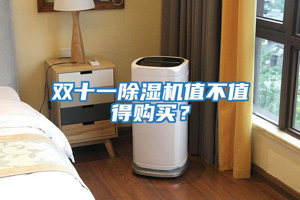 雙十一除濕機(jī)值不值得購(gòu)買(mǎi)？