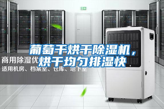 葡萄干烘干除濕機，烘干均勻排濕快