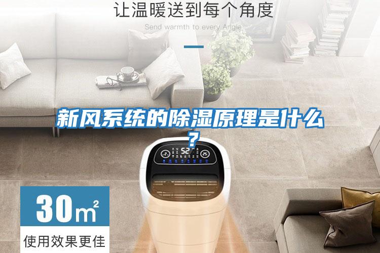 新風(fēng)系統(tǒng)的除濕原理是什么?