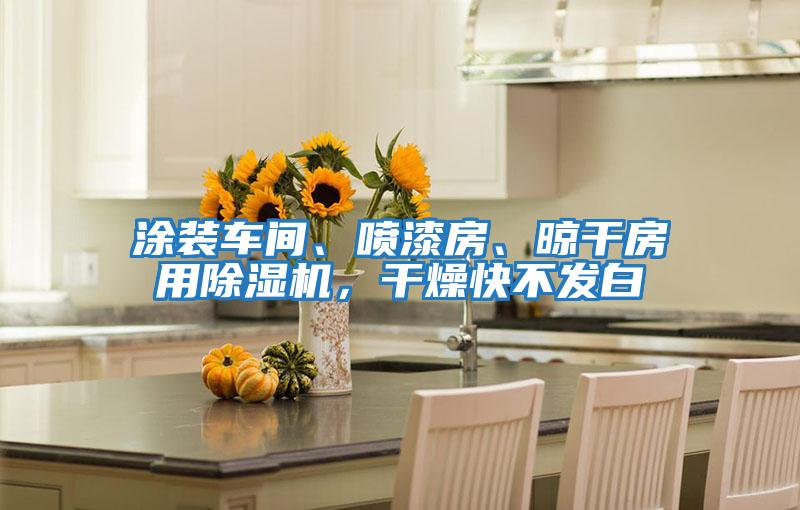 涂裝車間、噴漆房、晾干房用除濕機，干燥快不發白