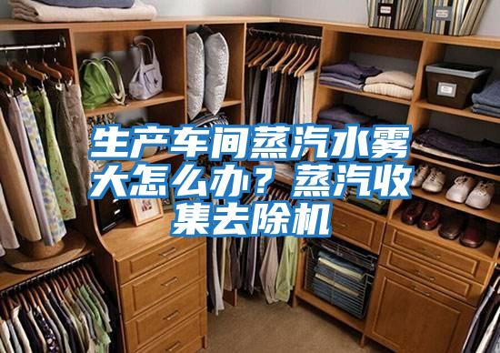 生產(chǎn)車間蒸汽水霧大怎么辦？蒸汽收集去除機(jī)