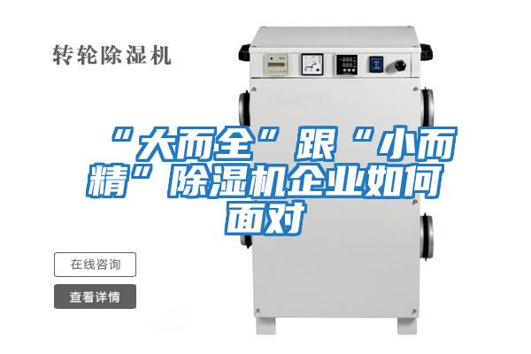 “大而全”跟“小而精”除濕機企業如何面對