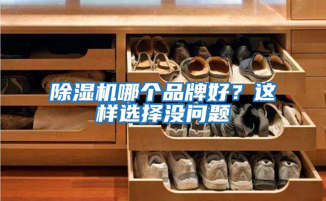 除濕機哪個品牌好？這樣選擇沒問題