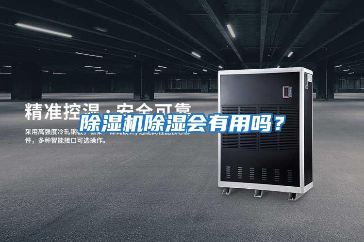 除濕機除濕會有用嗎？