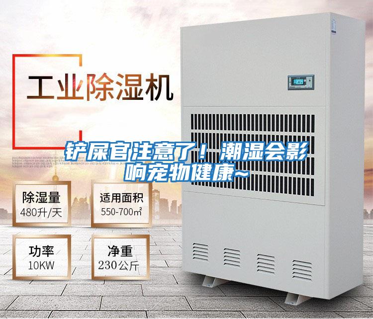 鏟屎官注意了！潮濕會影響寵物健康~