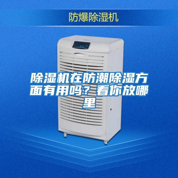 除濕機在防潮除濕方面有用嗎？看你放哪里