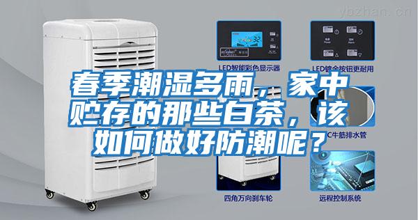 春季潮濕多雨，家中貯存的那些白茶，該如何做好防潮呢？