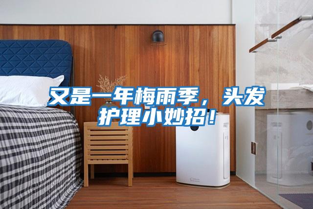 又是一年梅雨季，頭發護理小妙招！