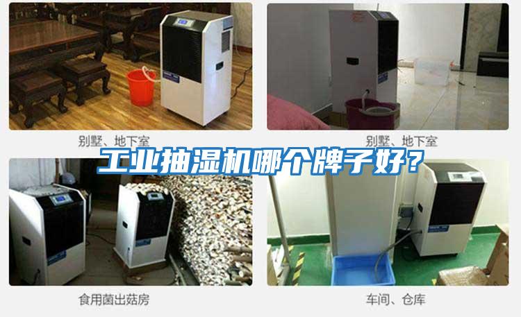 工業抽濕機哪個牌子好？