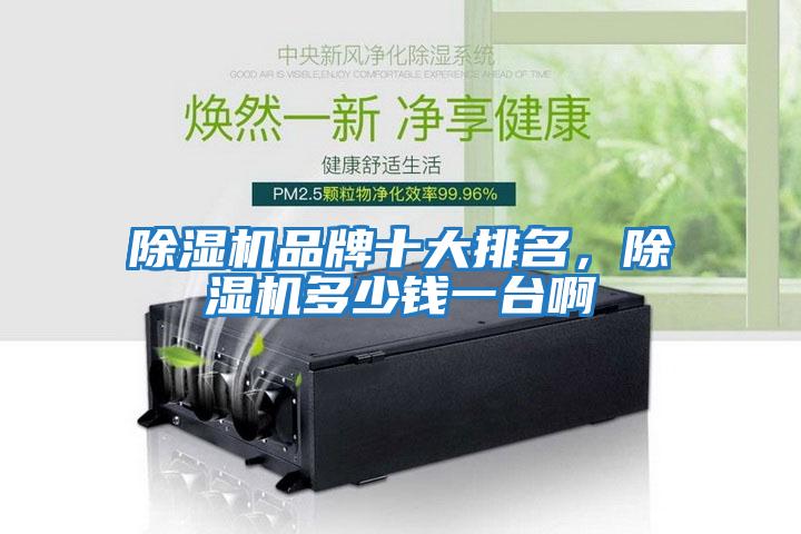 除濕機品牌十大排名，除濕機多少錢一臺啊