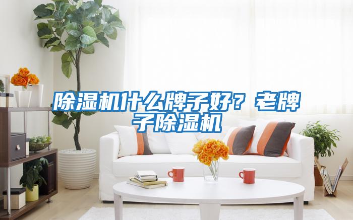 除濕機(jī)什么牌子好？老牌子除濕機(jī)