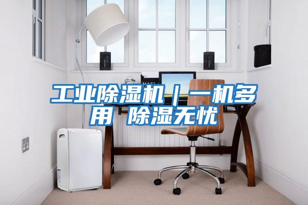 工業除濕機｜一機多用 除濕無憂
