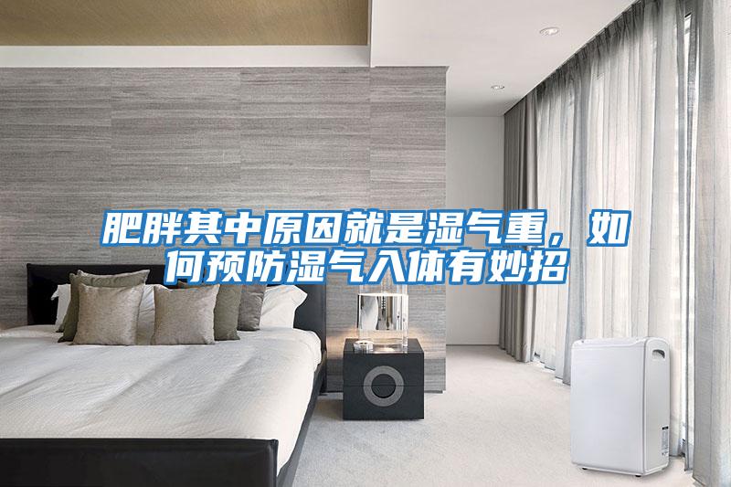 肥胖其中原因就是濕氣重，如何預防濕氣入體有妙招