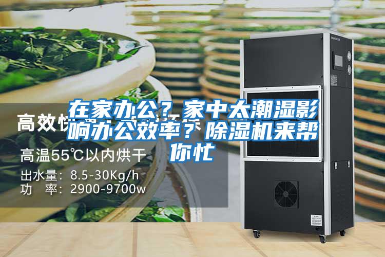 在家辦公？家中太潮濕影響辦公效率？除濕機(jī)來(lái)幫你忙