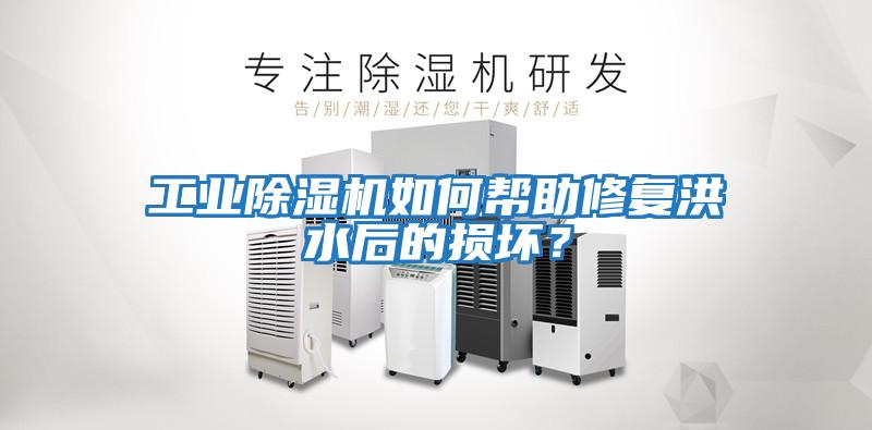 工業除濕機如何幫助修復洪水后的損壞？