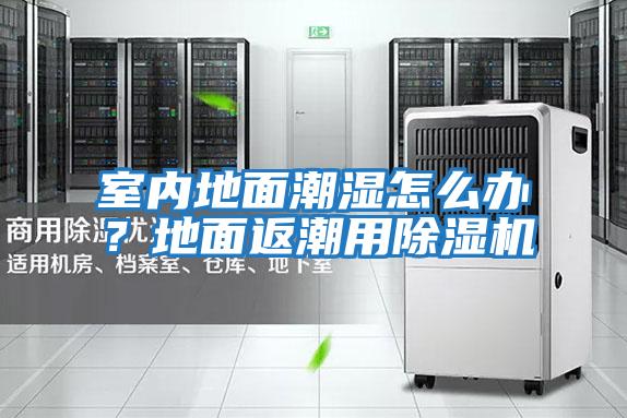室內地面潮濕怎么辦？地面返潮用除濕機