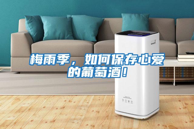 梅雨季，如何保存心愛的葡萄酒！