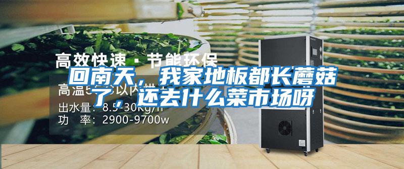 回南天，我家地板都長蘑菇了，還去什么菜市場呀