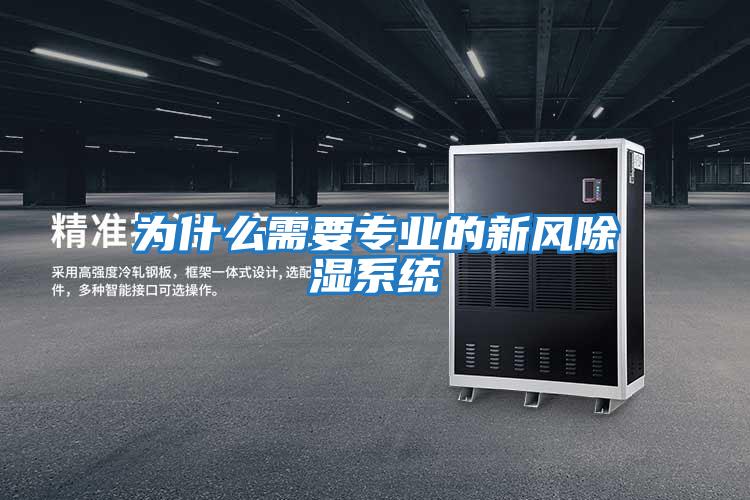 為什么需要專業的新風除濕系統