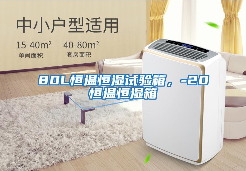 80L恒溫恒濕試驗箱，-20℃恒溫恒濕箱