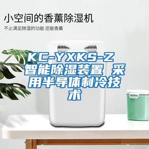 KC-YXKS-Z 智能除濕裝置 采用半導體制冷技術