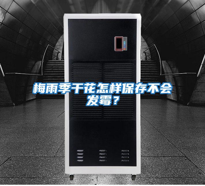 梅雨季干花怎樣保存不會(huì)發(fā)霉？