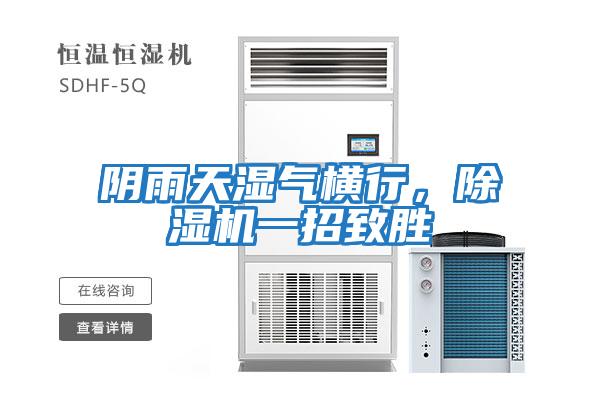 陰雨天濕氣橫行，除濕機一招致勝