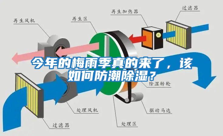 今年的梅雨季真的來了，該如何防潮除濕？