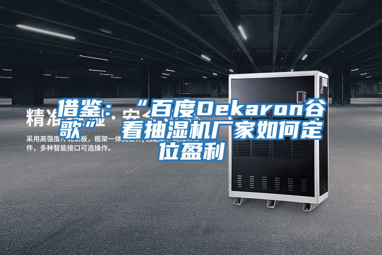 借鑒:“百度Dekaron谷歌” 看抽濕機廠家如何定位盈利