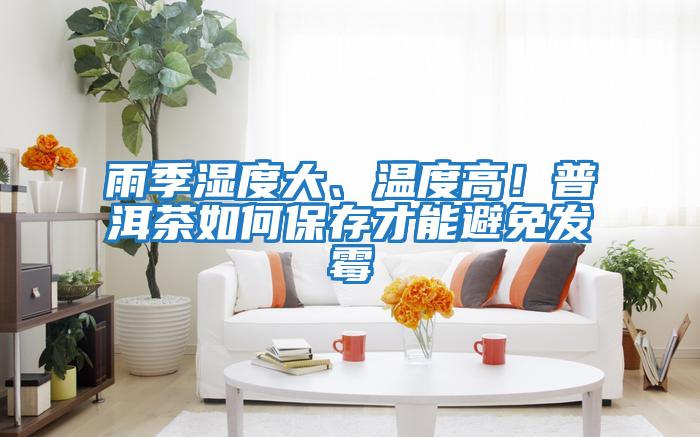 雨季濕度大、溫度高！普洱茶如何保存才能避免發(fā)霉