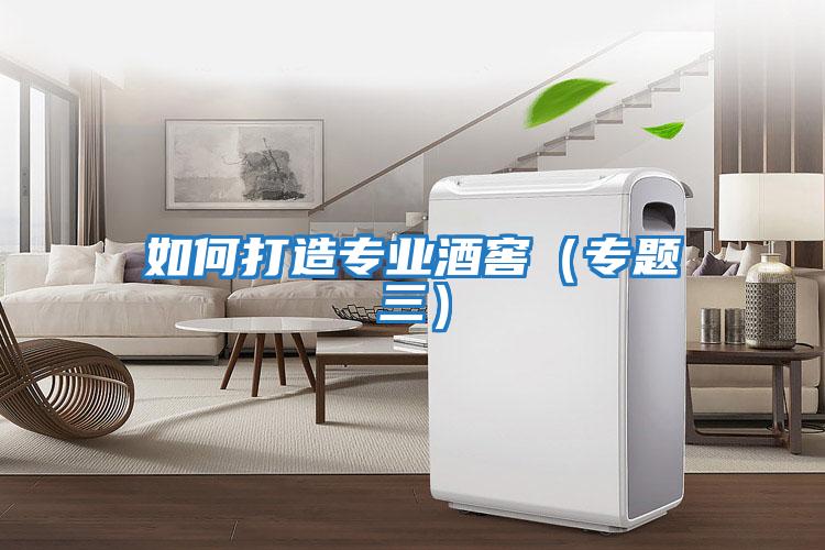 如何打造專業酒窖(專題三)