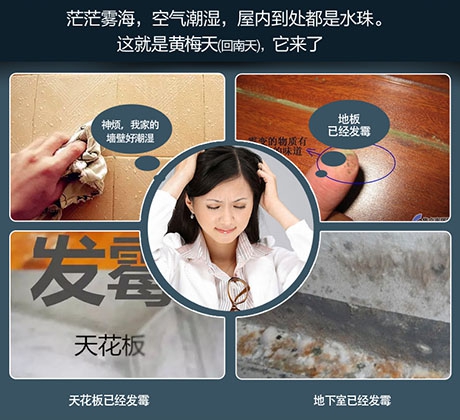 知否知否，國內十大除濕機品牌